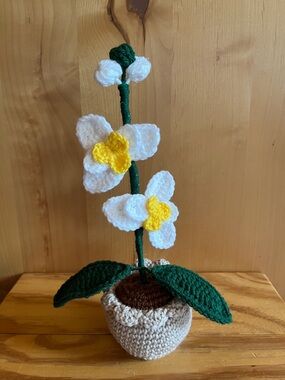 Handmade Crocheted White & Yellow Orchid in Beige Pot